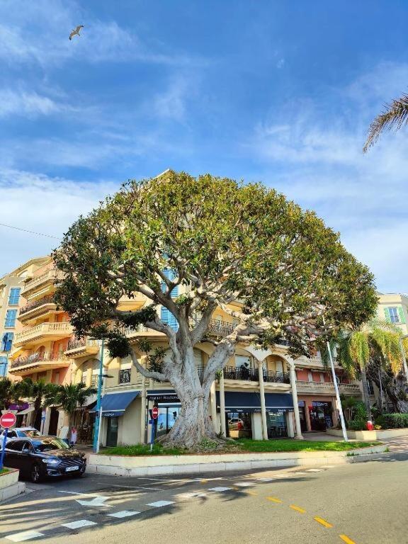Ferienwohnung Le Coq Bleu D'Azur - Piscine - Parking! Menton Exterior foto